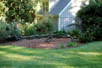 Before: A bare bed with a cairn in the center